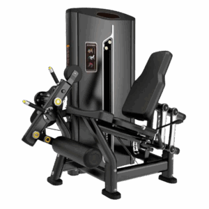 Leg Extension - BBL-P012